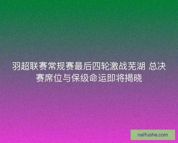 羽超联赛常规赛最后四轮激战芜湖 总决赛席位与保级命运即将揭晓